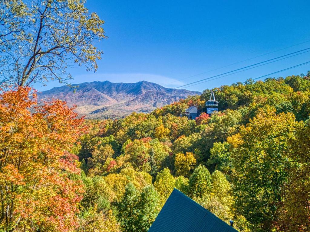 Four Bears Den, Hot Tub, 1089 Of Free Attraction Tickets For Each Paid Day, Dollywood And More Gatlinburg Exterior photo